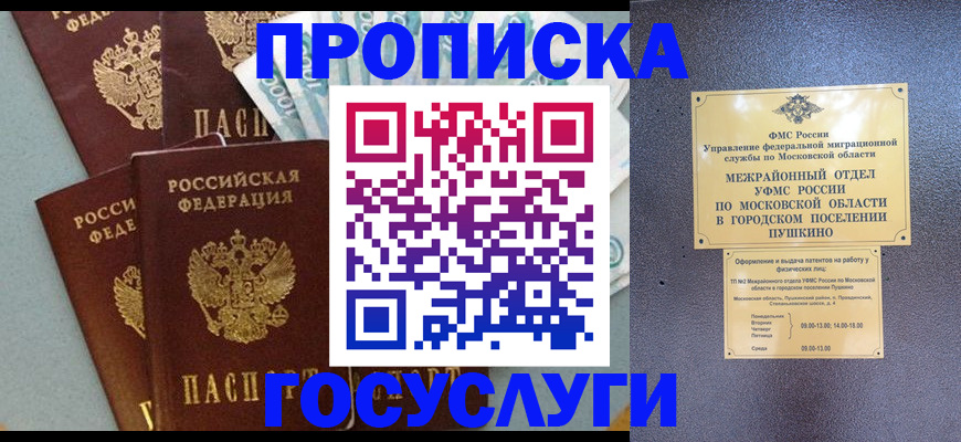 прописка гарантия в Бердске